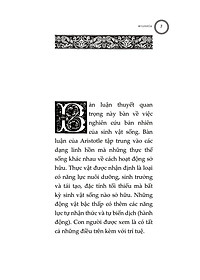 product-img-8