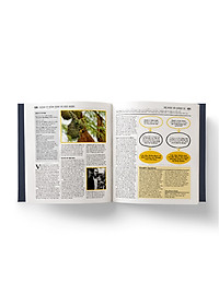 Sinh học - Khái lược những tư tưởng lớn