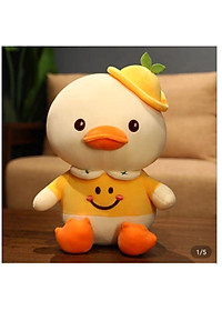 product-img-2