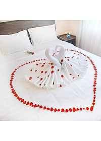 product-img-9