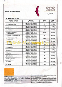 [Date xa] Trà nhân sâm hũ 100g - Hoang Ngoc Global