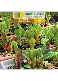 Hạt Giống Rau Cải Cầu Vồng Greenhome, Gói 5g~200 hạt, Dễ Trồng Quanh Năm, Nảy Mầm Cao, Thu Hoạch Nhanh, Năng Suất Cao R06