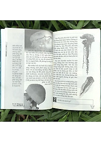 Sách 10 Vạn Điều Lý Thú Về Động Vật - Những Loài Ngộ Nghĩnh