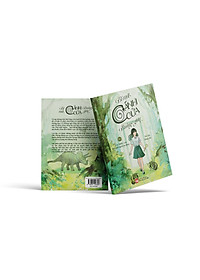 product-img-5