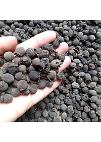 quả sim phơi khô túi 1 kg