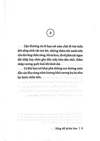 product-img-5
