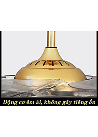 product-img-5