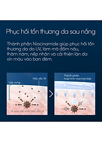 Bộ sữa chống nắng Anessa dưỡng da dịu nhẹ dạng sữa SPF50+ PA++++ 60ml và Serum dưỡng da và phục hồi da sau nắng 180ml