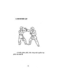 Bình Định Chân Truyền (Bộ 3 Tập)