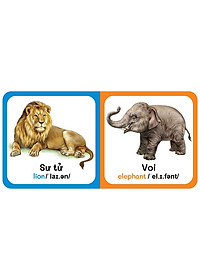 Sách - combo 9 Quyển Từ Điển Bằng Hình Đầu Tiên Của Bé Từ 0-6 tuổi - Song Ngữ Anh- Việt (Các trang đều là Bìa Cứng) vàng