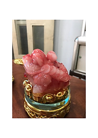 product-img-2
