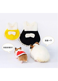 product-img-12