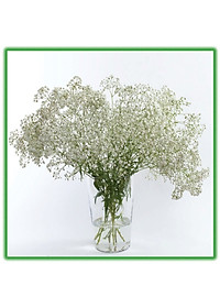 product-img-13