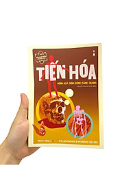 product-img-8