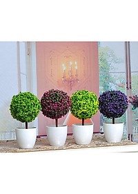 product-img-21