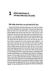 Thiết Kế Tổ Chức (Tái Bản 2022)