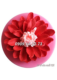 product-img-1