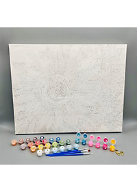 Tranh sơn dầu số hóa tự tô màu theo số cô gái hoa rơi lệ AN4008