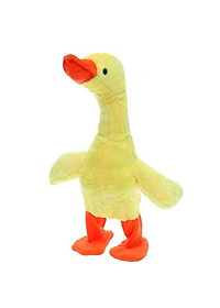 product-img-4