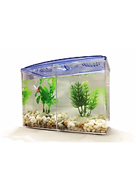Bể Cá Beta Mini - Hồ Cá Mini Để Bàn Bằng Nhựa Cao Cấp 2 Ngăn 