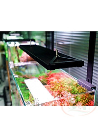 Đèn led Chihiros WRGB 2 Pro 30, 45, 60, 80, 90, 120 cm wrgb2 quang phổ trồng cây bể thủy sinh cá tép