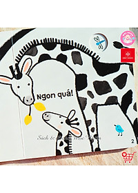 product-img-7