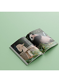 Nhật Ký Hạnh Phúc Của Công Chúa Fubao - Tặng Kèm Bookmark