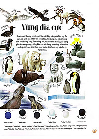 Sách Những Mảnh Ghép Đa Sắc Của Các Hệ Sinh Thái