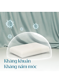 Gối Cao Su Vạn Thành Oval VTGCSO4056 (40 x 64 cm) - Trắng