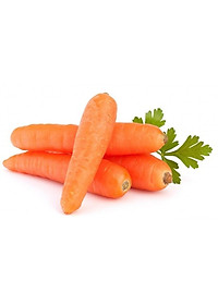 Hạt Giống Cà Rốt Rado 507