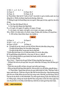 product-img-11