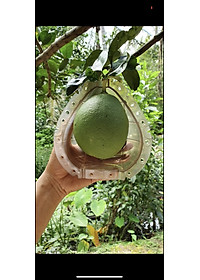 product-img-5