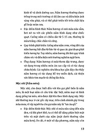 product-img-11