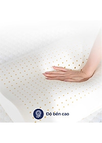 Gối Cao Su Liên Á Contour LAGC3050 (30 x 50 cm) - Trắng