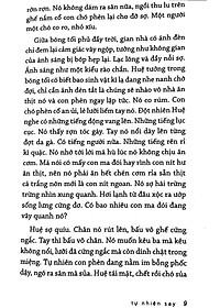 product-img-8