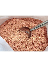 Đậu lăng đỏ Ấn Độ/Canada không biến đổi gen_Red Lentils from India/Canada non GMO