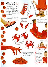 Sách Lớp Học Vui Về Màu Sắc - Colours