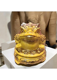 product-img-2