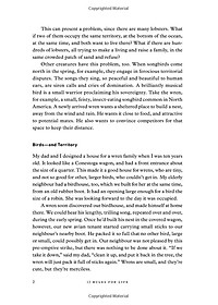 product-img-13