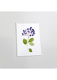 product-img-9