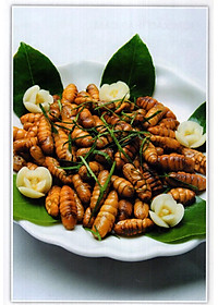 product-img-11