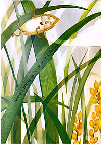 product-img-6