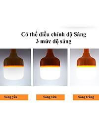 BÓNG ĐEN TÍCH ĐIỆN SIÊU SÁNG  - 100W - VỪA DÙNG SẠC VỪA DÙNG PIN SIÊU TIỆN LỢI