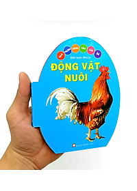 product-img-4