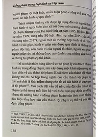 Đồng phạm trong luật hình sự Việt Nam