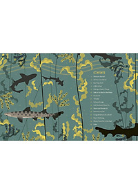 Sách tiếng Anh - Smart About Sharks