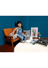 product-img-2