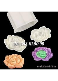 product-img-7