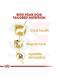 Pate Thức Ăn Ướt Xay Nhuyễn Dành Cho Chó Poodle Trưởng Thành Royal Canin Poodle Wet
