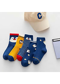 product-img-2